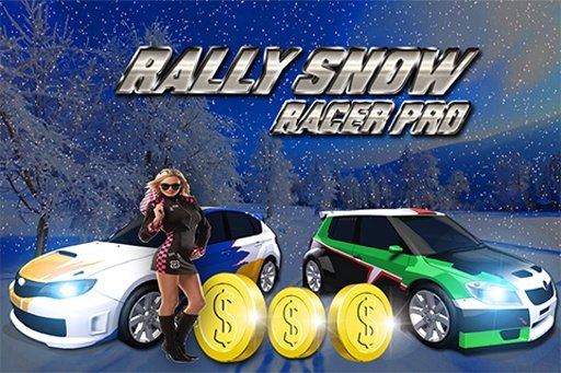 Rally Snow Racer Pro截图4