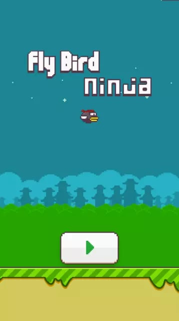 Fly Bird Ninja截图3