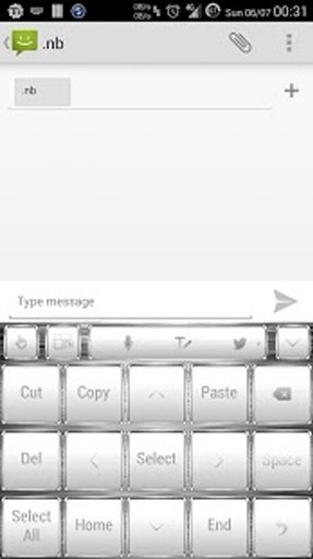 TouchPal WhiteFrameSilver skin截图6