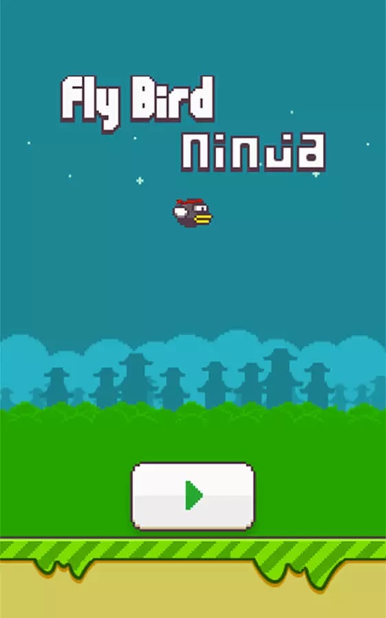 Fly Bird Ninja截图2