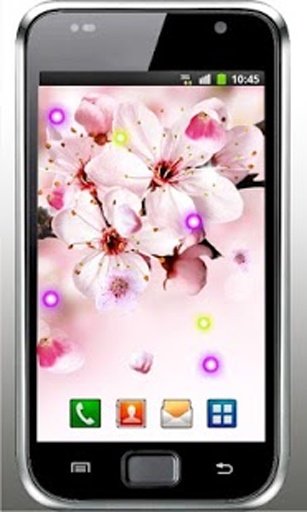 Sakura Free live wallpaper截图5