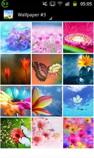 Flower Wallpapers Free截图4