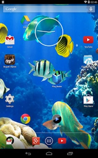 Koi Fish LWP截图2