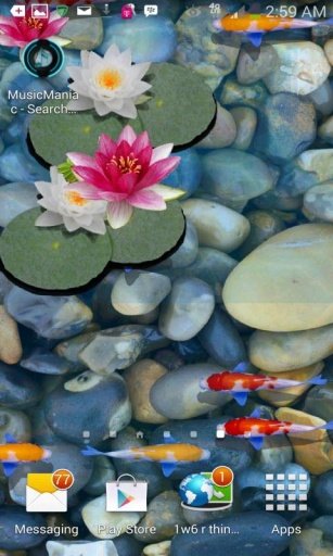 3D Koi Fish Pond Live Wallpaper截图11