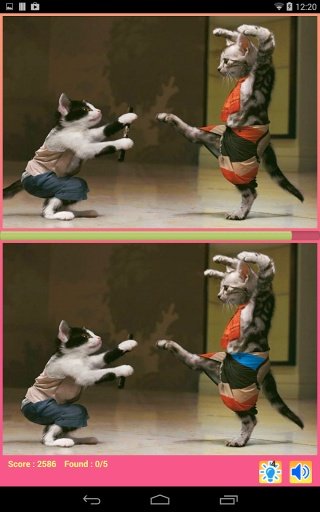 Ninja Animal Photo Hunt截图1