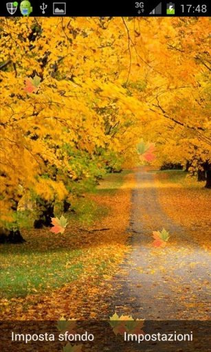 Autumn Road Live Wallpaper LWP截图2