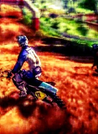 Motocross Skill Ultimate截图8