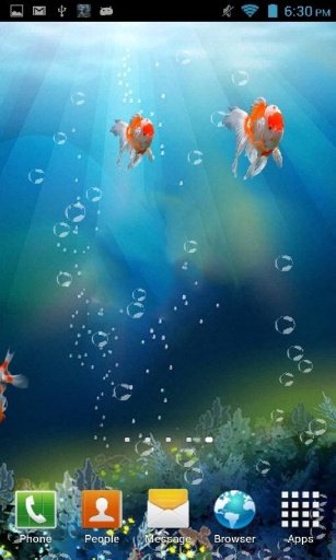 Goldfish Swim 3D Aquarium LWP截图9