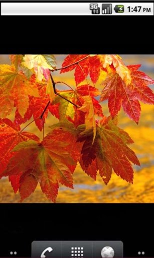 Top10 Autumn wallpaper截图1