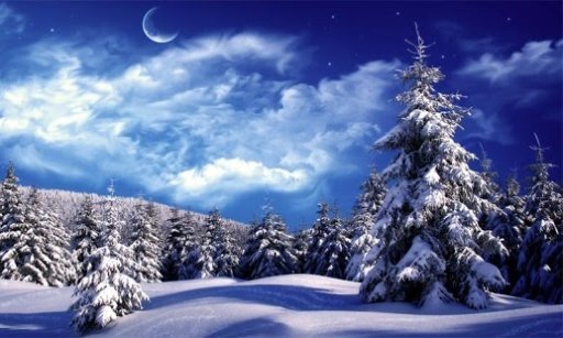 Winter wallpapers +100截图3