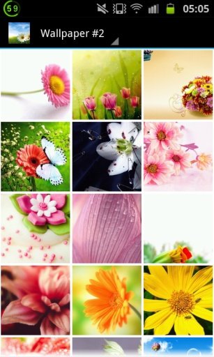 Flower Wallpapers Free截图5