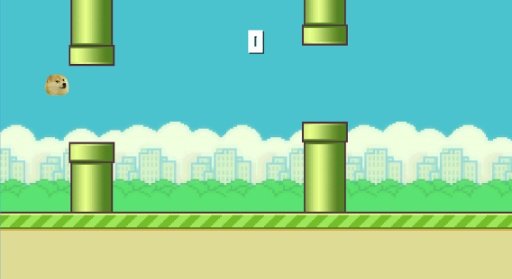 Flappy Doge-Much Delux截图4