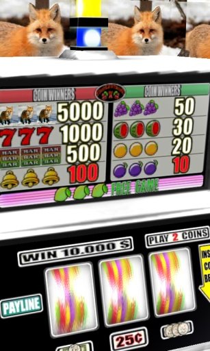 3D Red Fox Slots - Free截图4