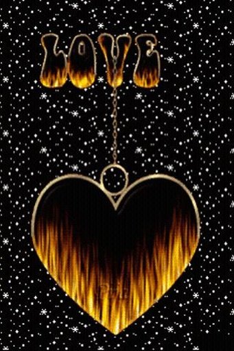 Love Fire Live Wallpaper截图1