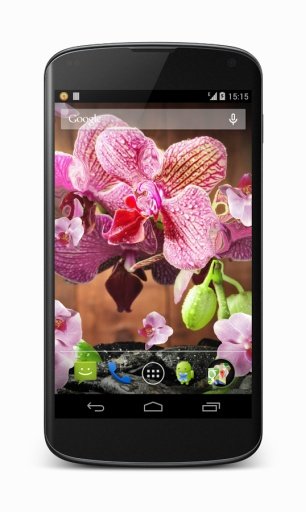 Pink Orchid Live Wallpaper截图6