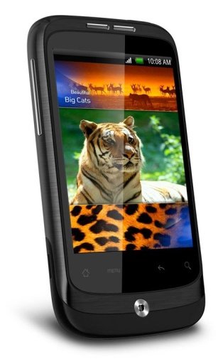 Tiger Queen HD Live Wallpaper截图3