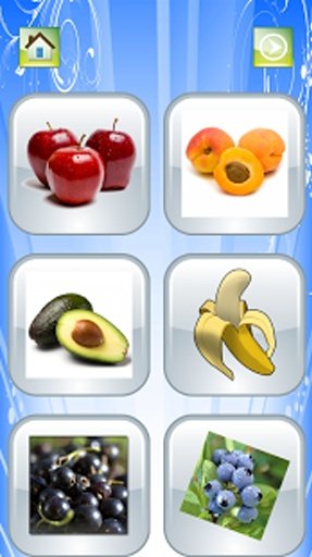 Fruit For Kid截图6