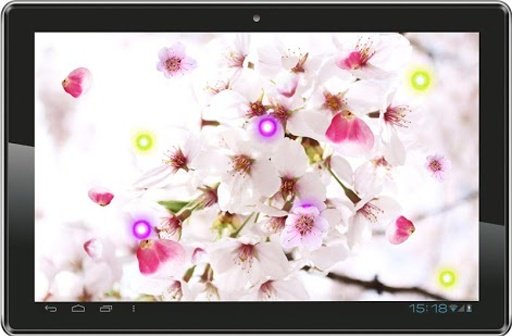 Sakura Free live wallpaper截图1