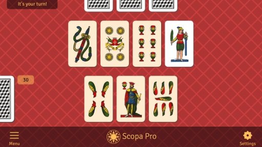 Scopa Pro截图9