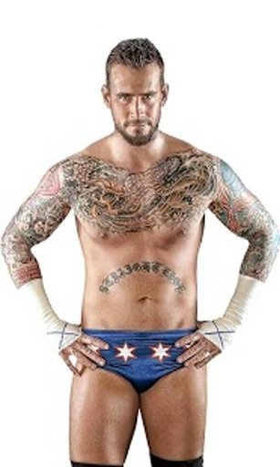 WWE Superstars Wallpapers HD截图3