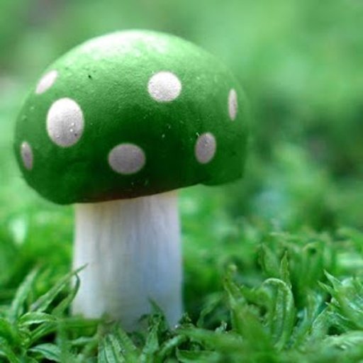 Mushrooms 3D Live Wallpaper截图1