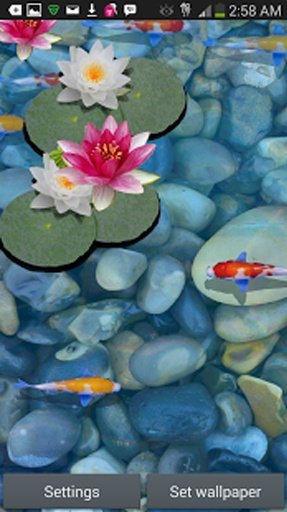 3D Koi Fish Pond Live Wallpaper截图1