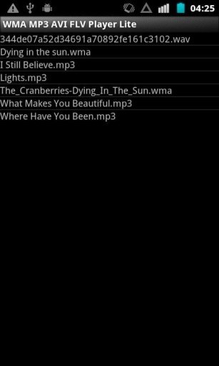 WMA MP3 AVI FLV Player Lite发布截图10