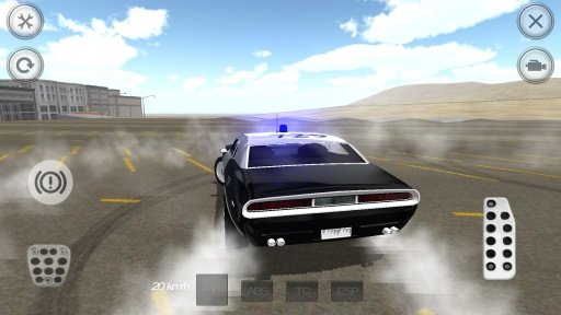 Muscle Police Car Driving截图4