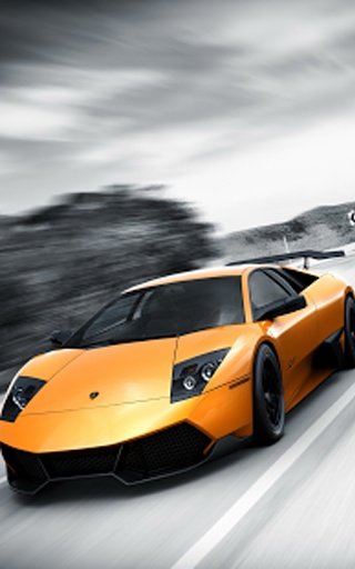 Sport Cars HD截图1