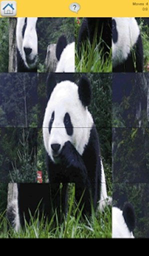 Panda Puzzle截图6