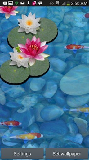 3D Koi Fish Pond Live Wallpaper截图10