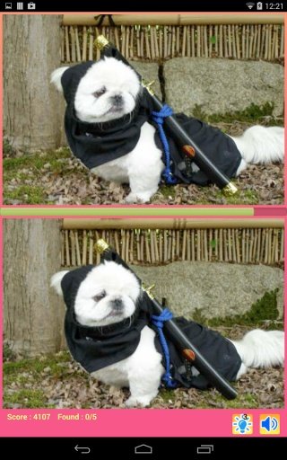 Ninja Animal Photo Hunt截图2