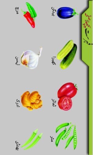 Kids Urdu Qaida截图9