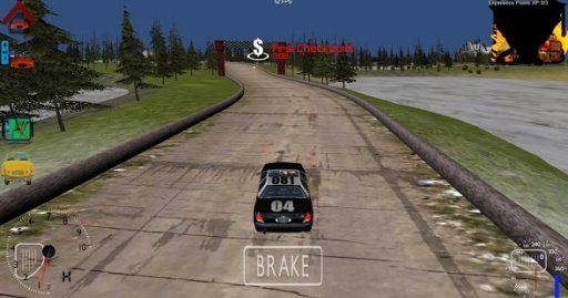 Car Racer Free 3D截图1