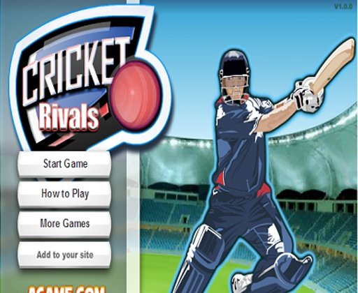 Mobile Cricket Games截图3