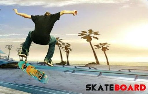 Pro Skateboarder截图1