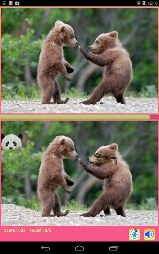 Ninja Animal Photo Hunt截图3