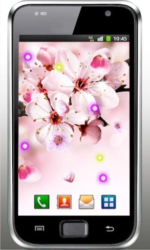 Sakura Free live wallpaper截图8