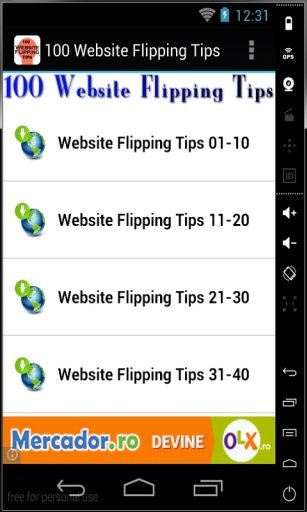 100 Website Flipping Tips截图1