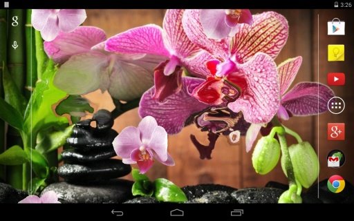 Pink Orchid Live Wallpaper截图8