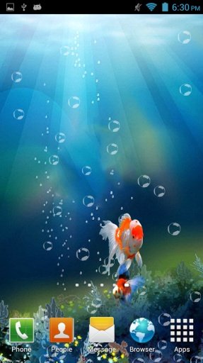 Goldfish Swim 3D Aquarium LWP截图1