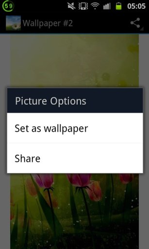 Flower Wallpapers Free截图8