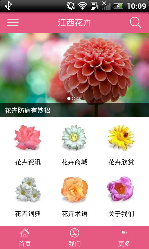 江西花卉截图3