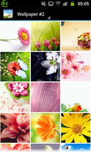 Flower Wallpapers Free截图7