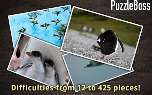 Penguin Jigsaw Puzzles FREE截图3