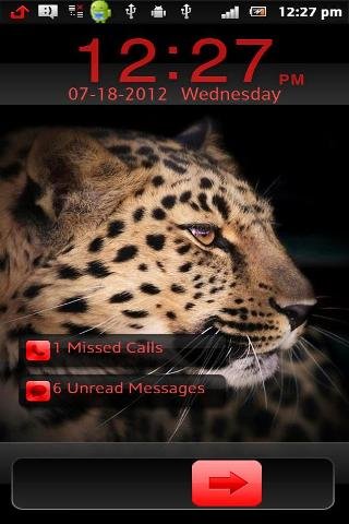 Leopard HD Go Locker截图2