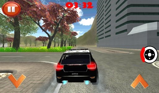 Police Car Drift截图3