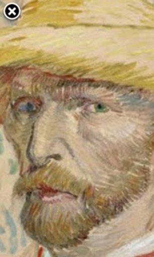 Vincent Van Gogh Gallery截图3