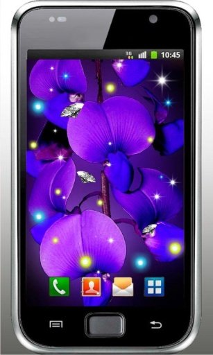 Orchid Africa live wallpaper截图3