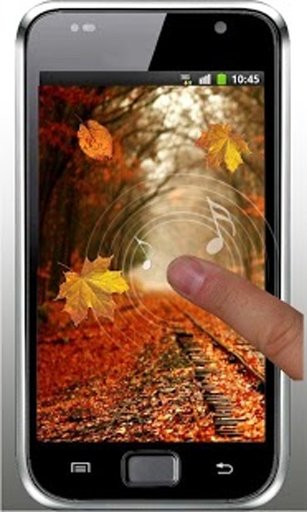 Autumn Forest live wallpaper截图2